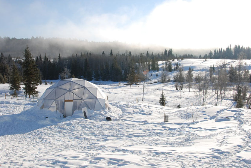 A Growing Dome Greenhouse Guide for Canadian Winters