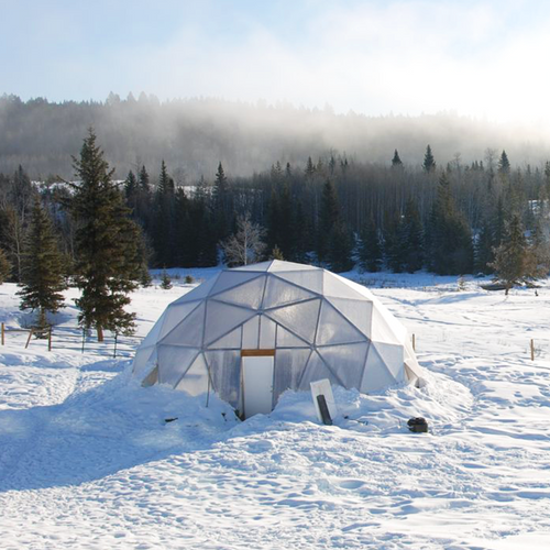 Growing Dome Greenhouse Kits (33ft)