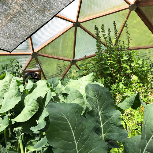 Growing Dome Greenhouse Kits (33ft)