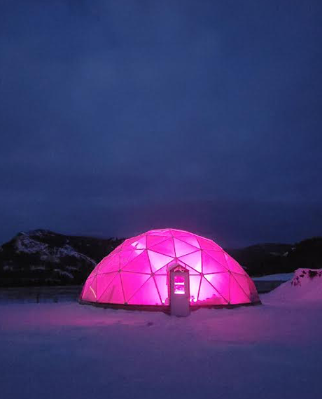 Geodesic Design