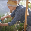 Growing Dome Greenhouse Kits (42ft)