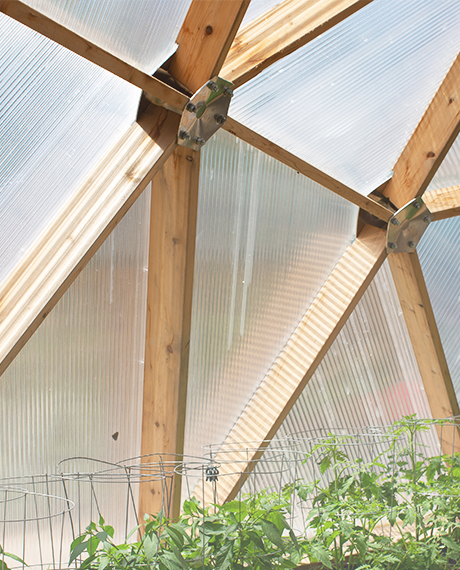 Western Red Cedar